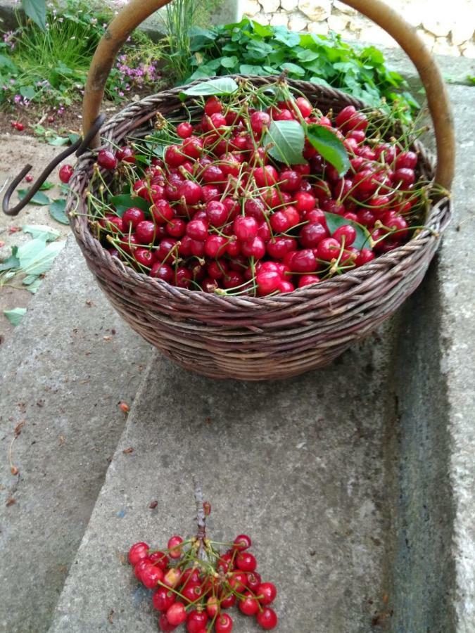 Njofra Banj 아파트 외부 사진
